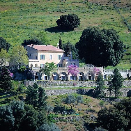 La Ventulella Bed and Breakfast Moltifao Εξωτερικό φωτογραφία