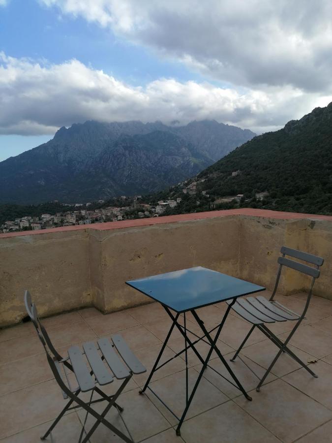 La Ventulella Bed and Breakfast Moltifao Εξωτερικό φωτογραφία