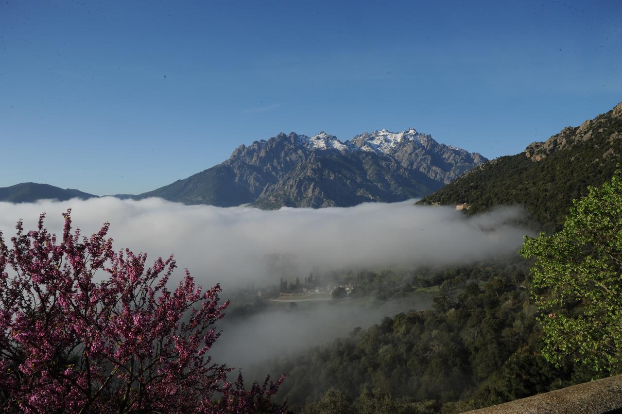 La Ventulella Bed and Breakfast Moltifao Εξωτερικό φωτογραφία