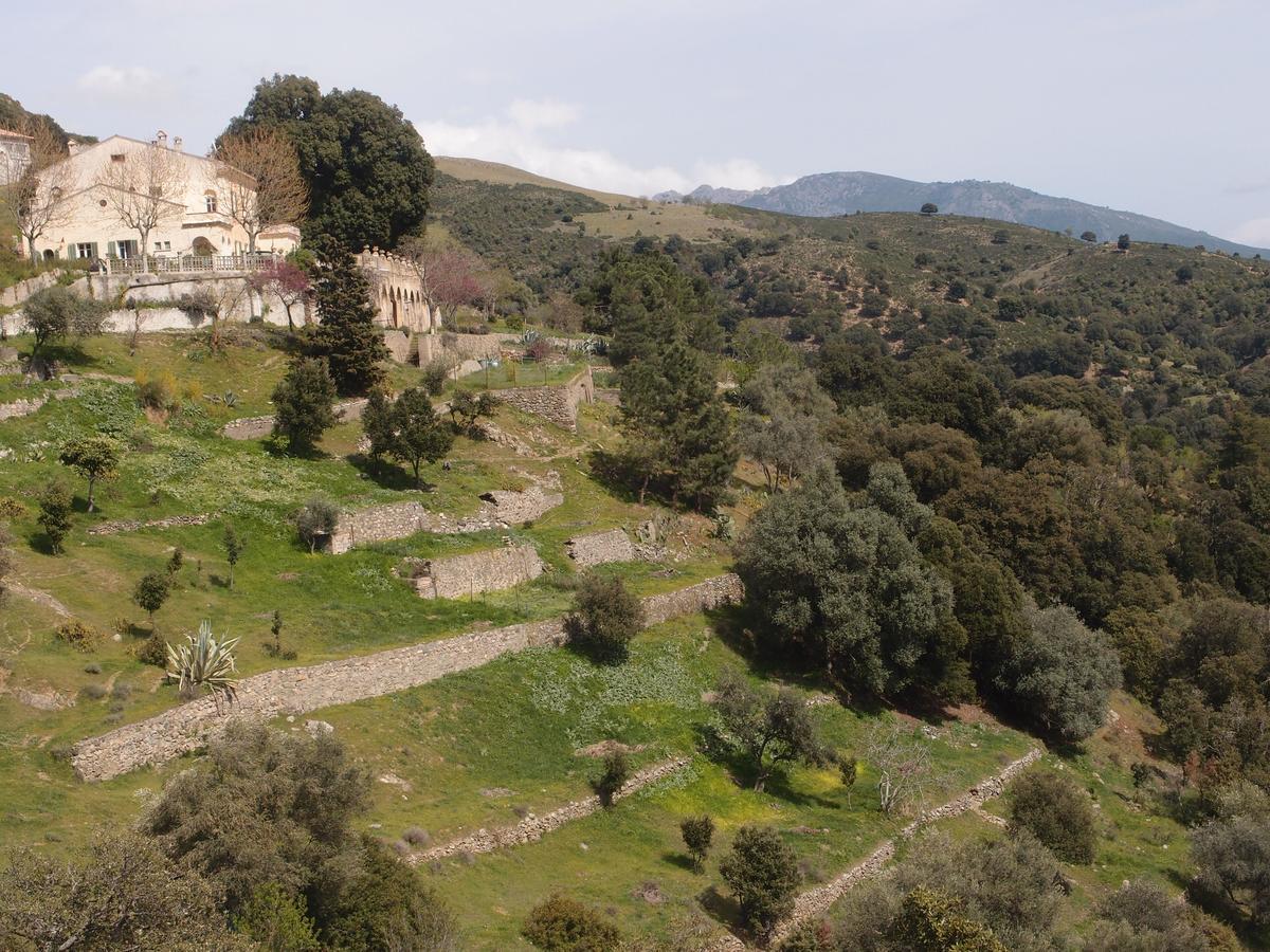 La Ventulella Bed and Breakfast Moltifao Εξωτερικό φωτογραφία