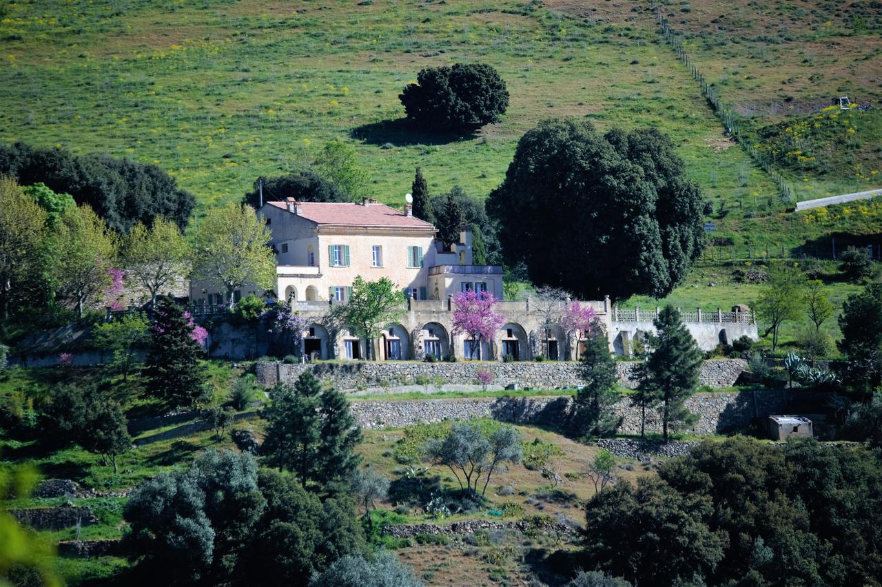 La Ventulella Bed and Breakfast Moltifao Εξωτερικό φωτογραφία
